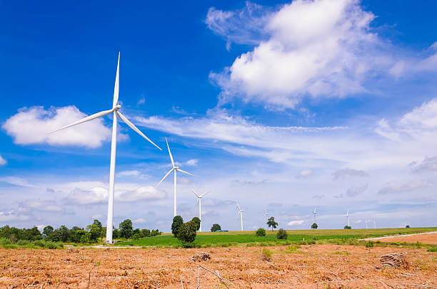 istock Wind turbine on the green meadow 523921105