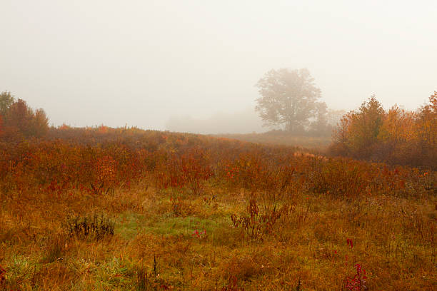 istock Colorful fall scenery landscapes. 523921139