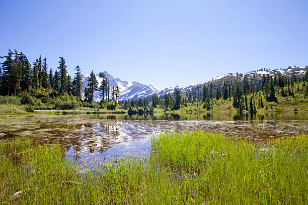 istock Mount Shuksan view from Picture Lake 523923753