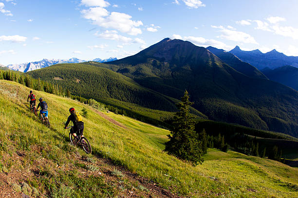 Mountain Bike Rocky Mountains A group of three men enjoy a mountain bike ride in Alberta, Canada on a sunny day. mid distance stock pictures, royalty-free photos & images