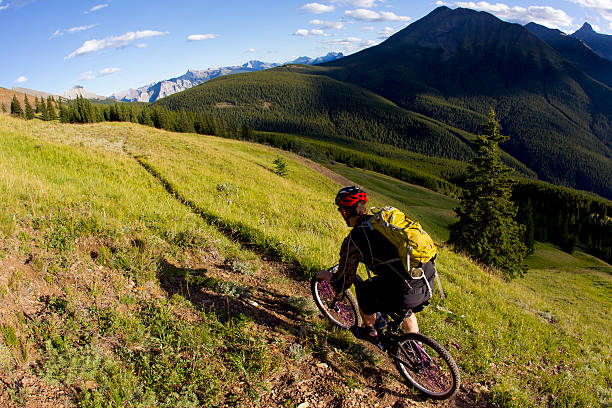 istock Mountain Bike Rider 523923937