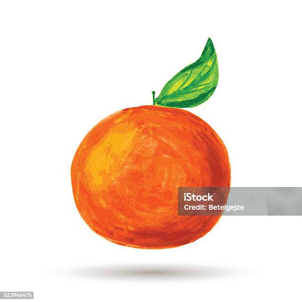 Watercolor Painting Orange On White Background Vector Illustration Stock Illustration - Download Image Now