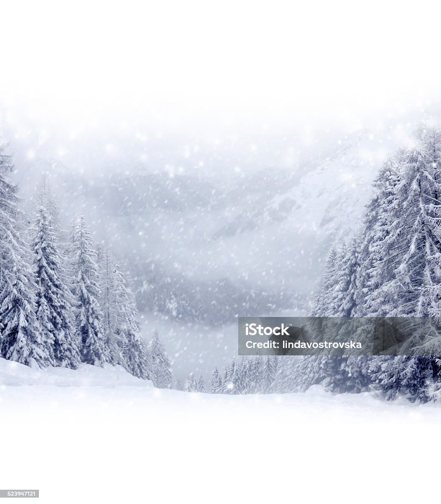 Winter Landscape Photo of winter landscape with trees covered by snow Backgrounds Stock Photo