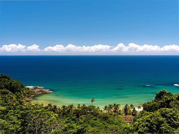 Beautiful engenhoca beach in Itacare, Bahia, Brazil.