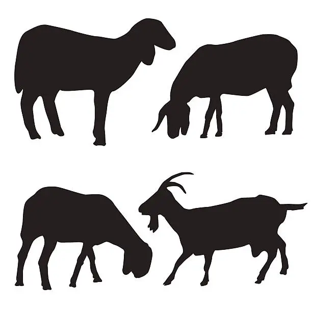 Vector illustration of Sheep and goat silhouettes vector