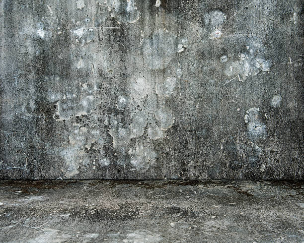 istock empty room with old mottled concrete wall and floor 523969305