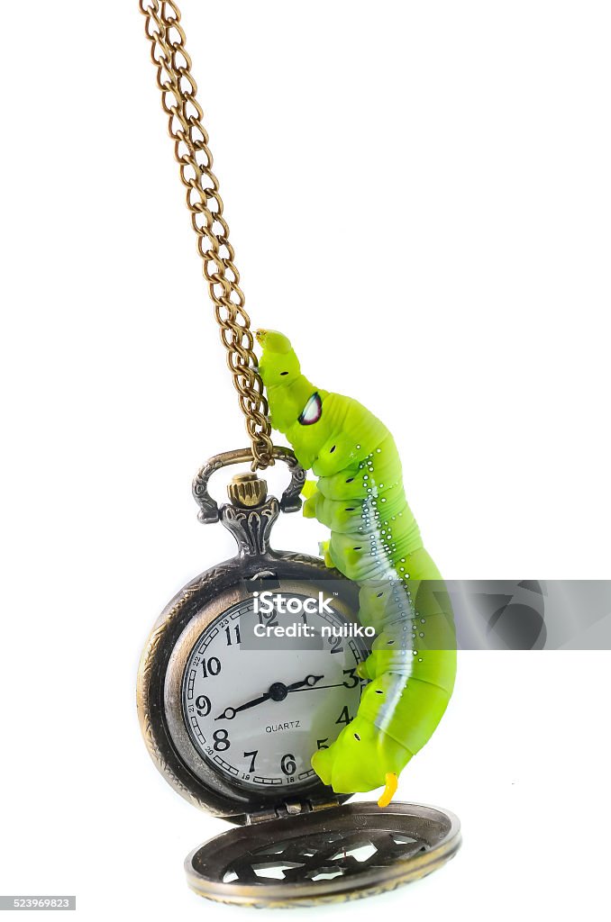 Green caterpillar climbing pocket watch, time passing concept. Caterpillar Stock Photo
