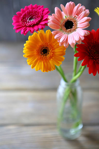istock beautiful bouquet of colorful gerbera 523995643