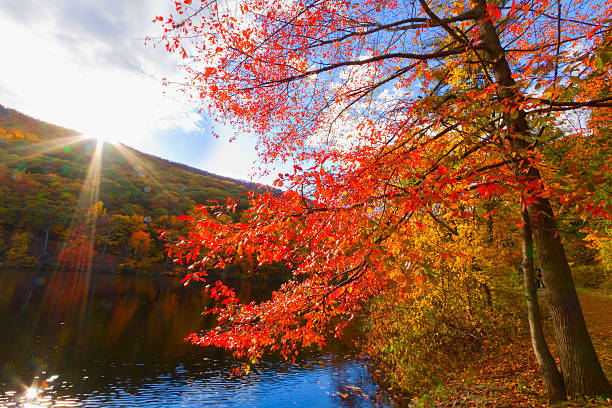istock Colorful fall scenery landscapes. 523995683