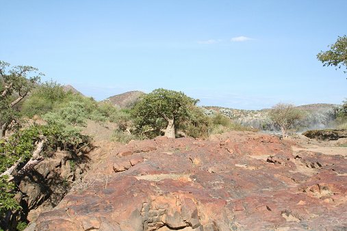 It is an adventurous challenge to pass the arid landscape of Northern Namibia by 4x4. Kunene Region is a beautiful scenic area in Namibia and offers a variety of highlights. The Epupa Falls and the Kunene River are well known travel destinations. The Himba people are living in this part of Africa. The trees are green, because it is wet season. The Makalani Palm or Real Fan Palm (Hyphaene petersiana) and the Baobab are part of the scenery.