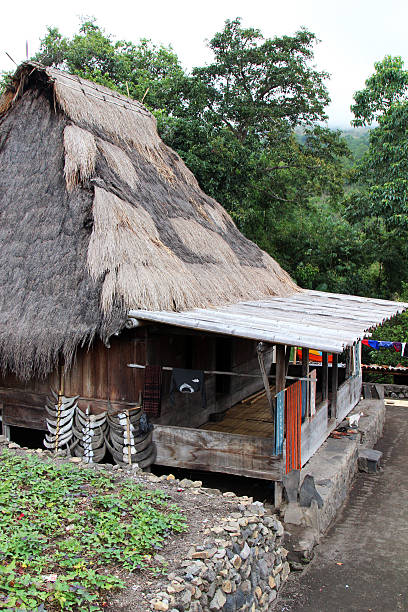 istock Indonesia: Bena Hill Tribe Village in Flores 523996185