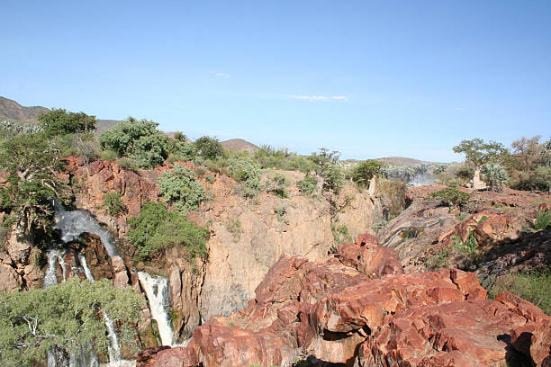 Landscape with Baobab close Epupa Falls, Kunene River, Namibia, Africa It is an adventurous challenge to pass the arid landscape of Northern Namibia by 4x4. Kunene Region is a beautiful scenic area in Namibia and offers a variety of highlights. The Epupa Falls and the Kunene River are well known travel destinations. The Himba people are living in this part of Africa. The trees are green, because it is wet season. The Makalani Palm or Real Fan Palm (Hyphaene petersiana) and the Baobab are part of the scenery. bush land natural phenomenon environmental conservation stone stock pictures, royalty-free photos & images