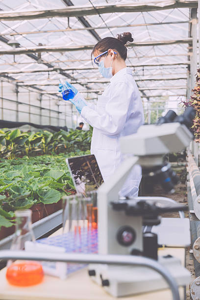 istock Scientist in greenhouse 523997041