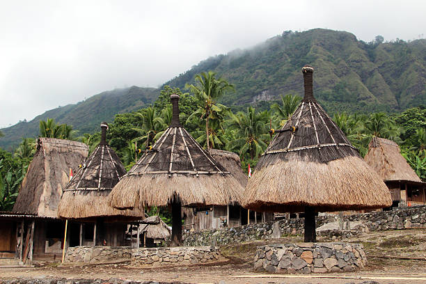 istock Indonesia: Gurusina Hill Tribe Village in Flores 523997331