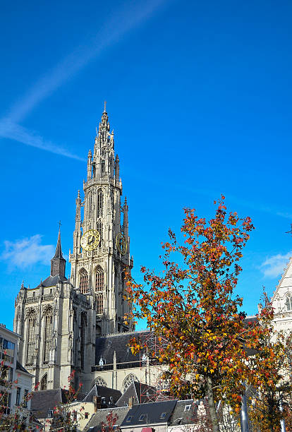 캐서드럴 합ㄴ다 성녀 - medieval autumn cathedral vertical 뉴스 사진 이미지