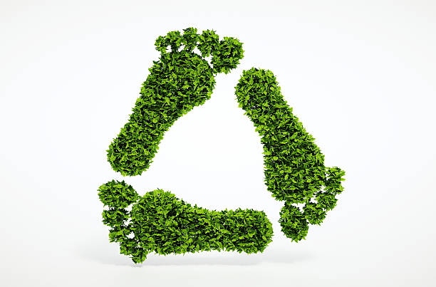 istock Ecology leaf footprint recycling symbol 523999721