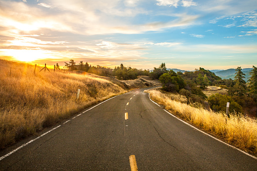 Curving two lane road through golden fields and deep green trees as the morning sun rises over the hills.