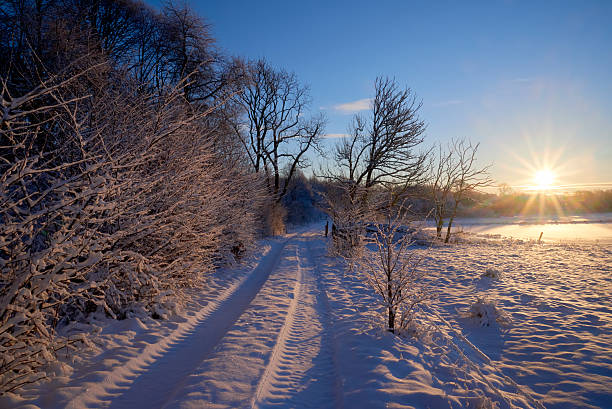 istock Country lane toward the sun in winter 524007596