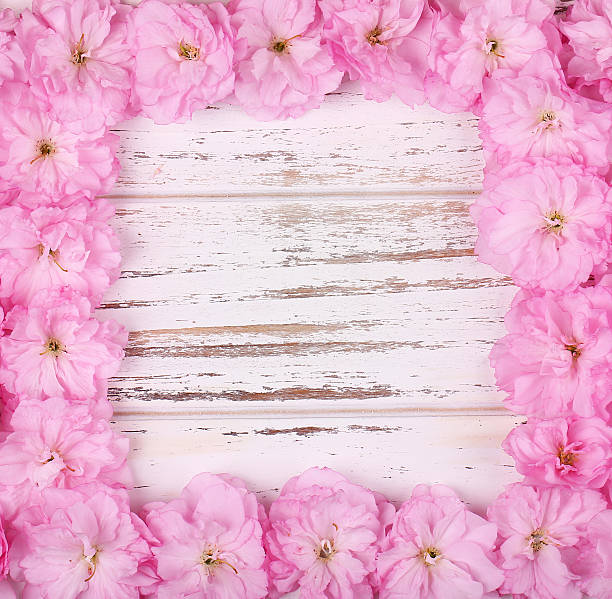istock Pink Flowers Frame over Old Wooden Background 524008614