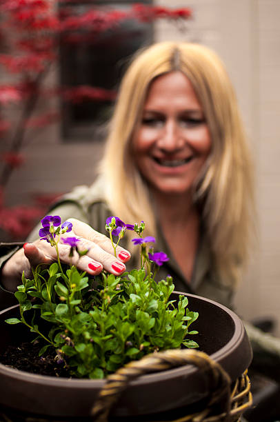istock Taking care of flowers 524009988