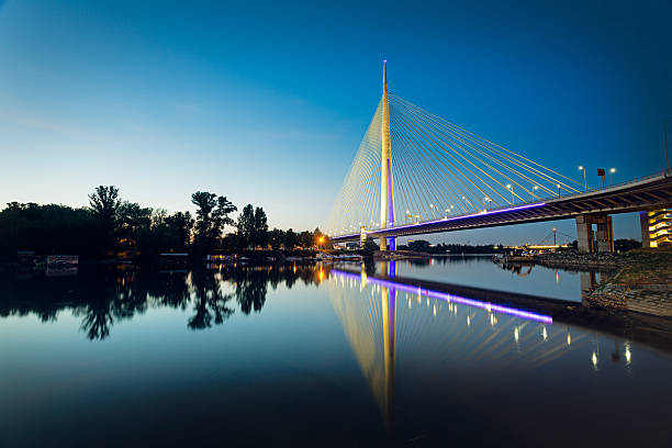 ada ponte notturno, belgrado, serbia - river sava foto e immagini stock