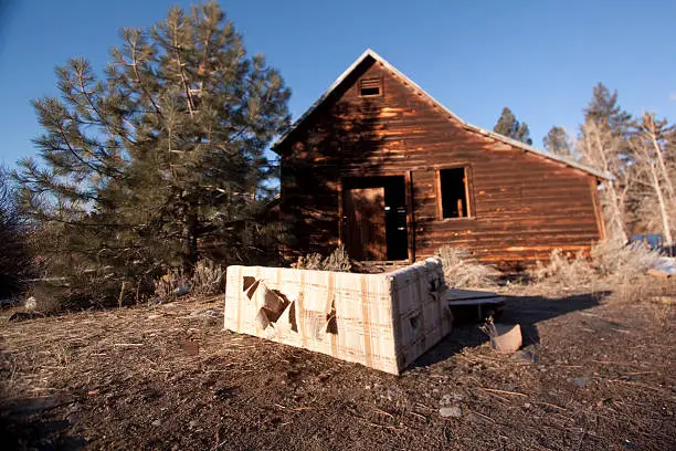 An old abandoned cabin in the forest