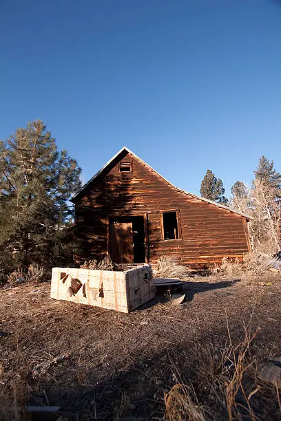 An old abandoned cabin in the forest