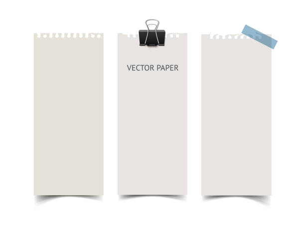 のセット垂直カード紙のバナー。現実的なベクトル 便箋 ウィット - 長い点のイラスト素材／クリップアート素材／マンガ素材／アイコン素材