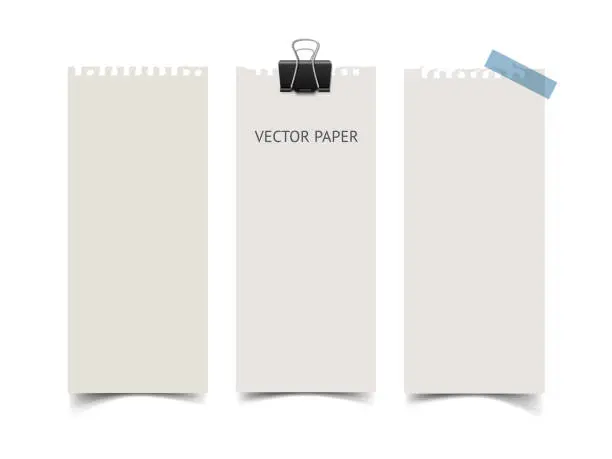 Vector illustration of Set of vertical paper card banners. Realistic vector notepaper wit