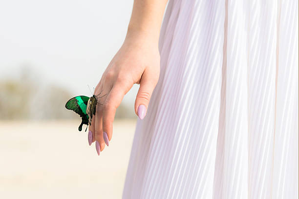 Romantic picture of an arm of bride with butterfly