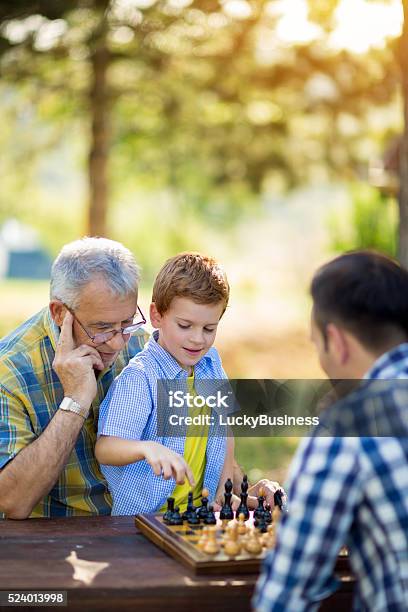 Chess Strategy Board Nature And Family Stock Photo - Download Image Now - Chess, Leisure Games, Playing