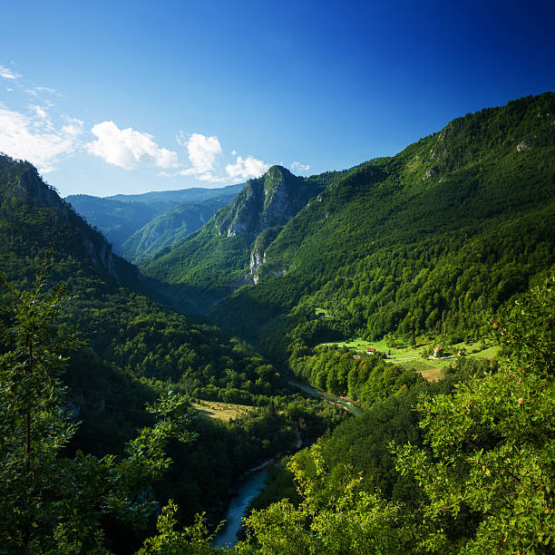istock Aerial view of Tara river gorge. 524014666