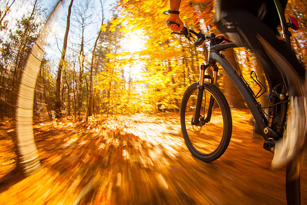 istock Mountain biking along a trail in the bright sun. 524017378