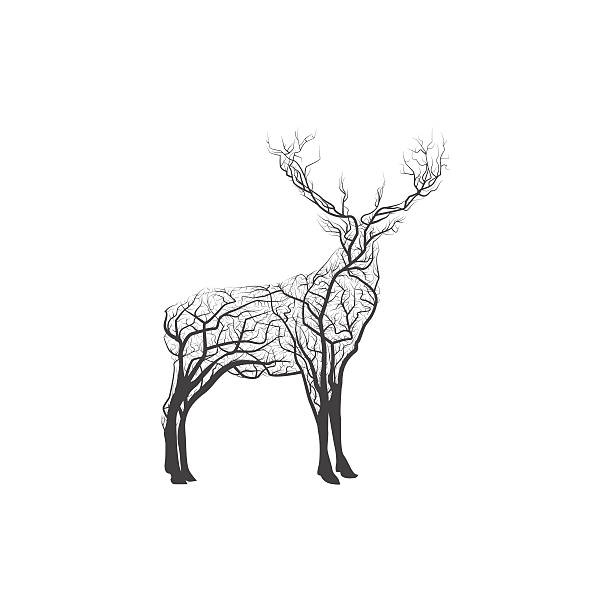 지점 사슴. 벡터 삽화 - tree outline branch forest stock illustrations