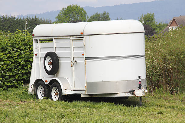 istock Lightweight Horse Trailer 524020816