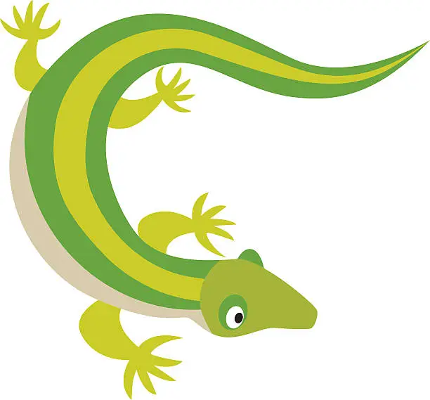 Vector illustration of Green water dragon lizard nature animal reptile cartoon silhouette vector