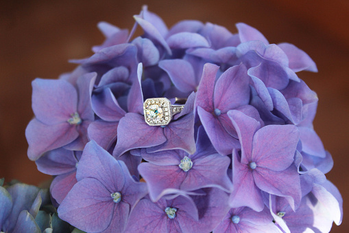 Flower, Engagement Ring, Purple, Weddings, Diamond 