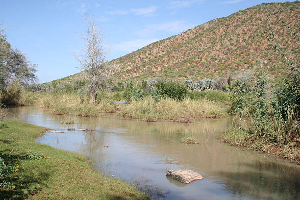 Landscape Kunene River close Epupa Falls, Rainy Season, Namibia, Africa It is an adventurous challenge to pass the arid landscape of Northern Namibia by 4x4. Kunene Region is a beautiful scenic area in Namibia and offers a variety of highlights. The Epupa Falls and the Kunene River are well known travel destinations. The Himba people are living in this part of Africa. The trees are green, because it is wet season. bush land natural phenomenon environmental conservation stone stock pictures, royalty-free photos & images