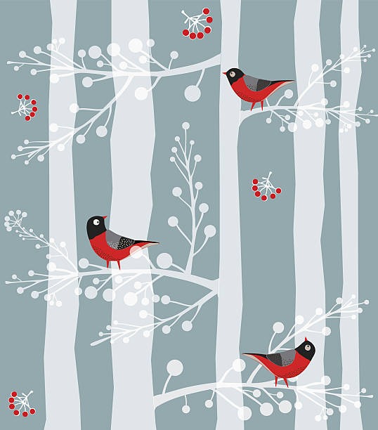 птица, лес, winter - tree winter bird branch stock illustrations