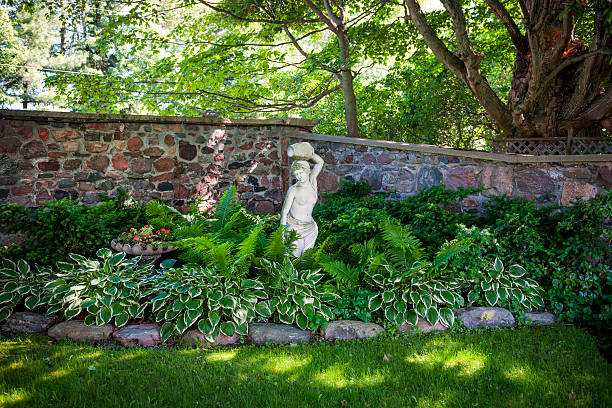 Shady perennial garden Lush green summer garden with perennial plants and statue near stone wall hosta photos stock pictures, royalty-free photos & images