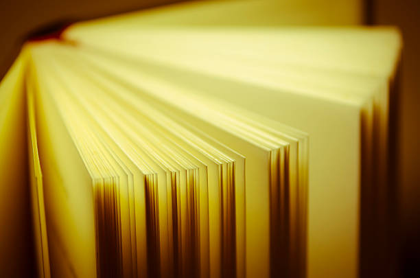 istock fan of book pages 524023489