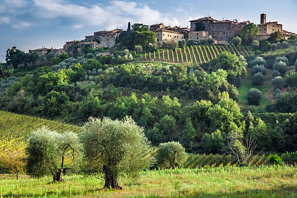 vista de uma pequena aldeia na toscana - montalcino imagens e fotografias de stock