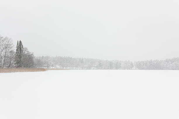 istock Blizzard winter landscape at frozen lake 524025476
