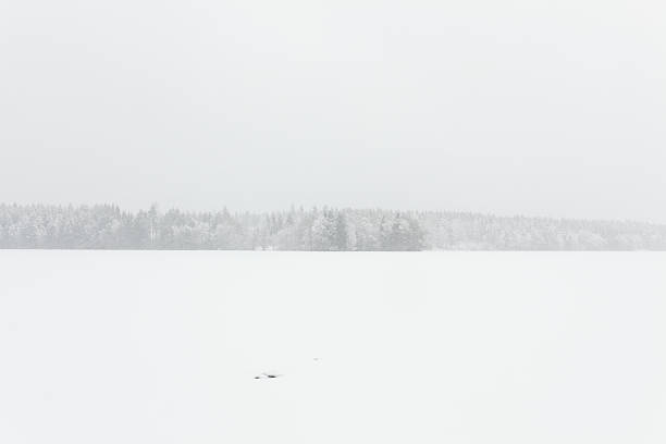 istock Blizzard winter landscape at frozen lake 524025550