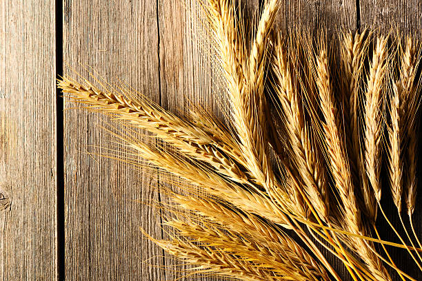 istock Rye spikelets over wooden background 524025585
