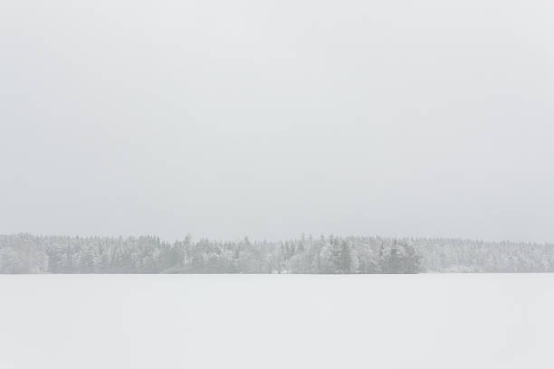 istock Blizzard winter landscape at frozen lake 524025688
