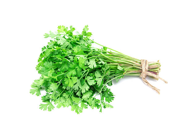 istock Fresh Green parsley on  white background 524027172