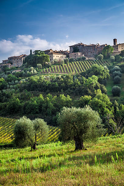 istock View of a small town with vineyards and olive trees 524027369