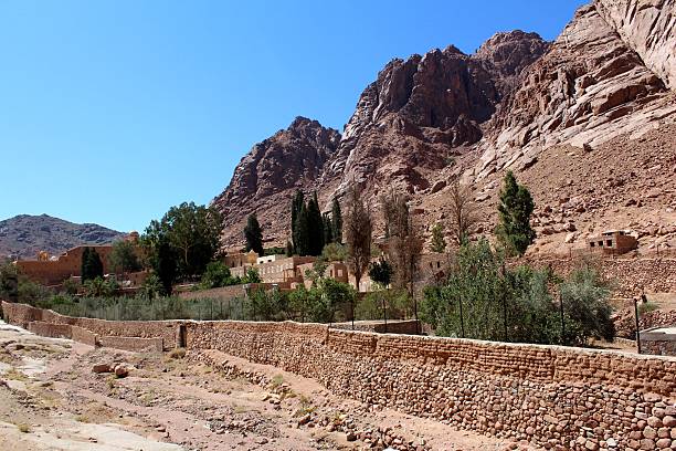 istock Trees and Shrubs in Mount Sinai 524027869