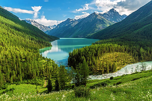 istock Kucherla lake after rain 524028330